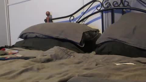 bob online show from March 6, 7:55 pm