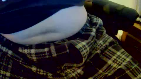 bobbie420_ online show from December 13, 3:16 am