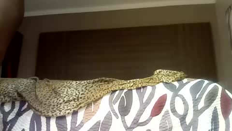 Snapshot of bobbiebone chatting on September 11, 5:28 am bobbiebone and company online show from September 11, 5:28 am