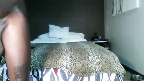Snapshot of bobbiebone chatting on September 27, 9:51 am bobbiebone and company online show from September 27, 9:51 am