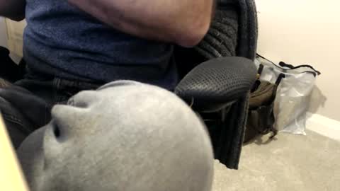 bobbuild online show from February 13, 9:47 am