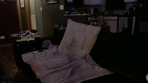 BohunkMN online show from January 14, 10:17 am