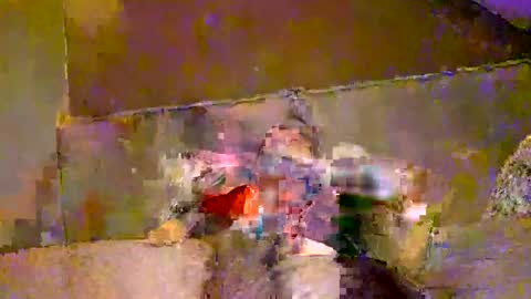 Snapshot of boidady chatting on January 4, 7:34 am emilio online show from January 4, 7:34 am
