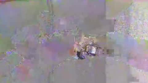 Snapshot of boidady chatting on October 15, 7:16 am emilio online show from October 15, 7:16 am