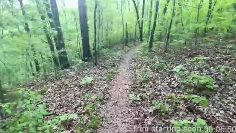 Booker Baxton online show from November 29, 4:03 am