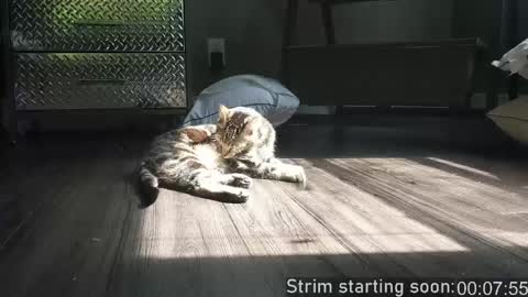 Booker Baxton online show from April 21, 3:02 am