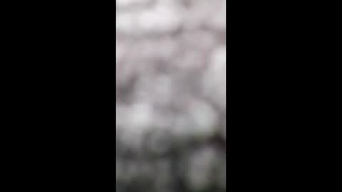 Boolika online show from December 23, 10:44 pm