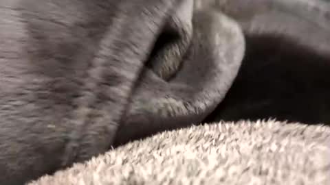 Borderslad1101 online show from November 23, 3:56 pm