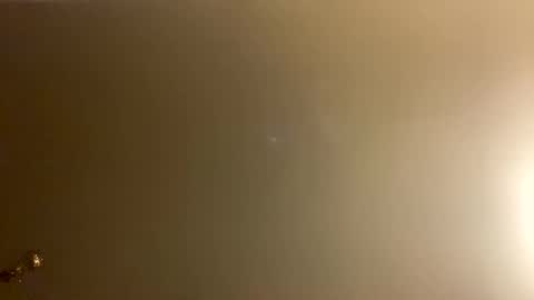 Brain Ortega online show from February 28, 12:59 pm