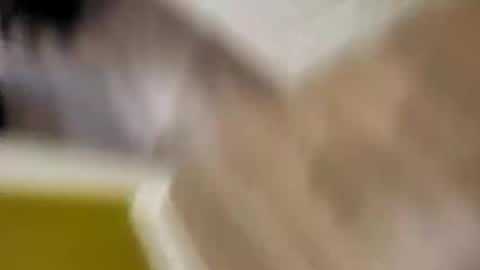 brainmeltfab online show from November 28, 10:00 pm