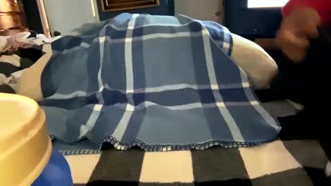 Snapshot of brownbootie1 chatting on February 27, 3:37 pm brownbootie1 online show from February 27, 3:37 pm