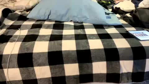 Snapshot of brownbootie1 chatting on January 29, 3:37 pm brownbootie1 online show from January 29, 3:37 pm