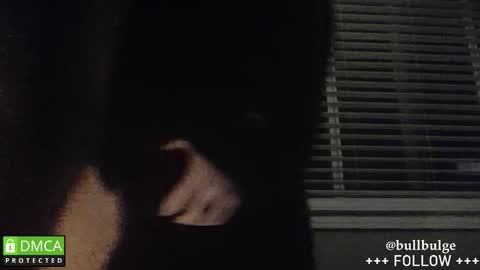 Bull. online show from January 19, 4:59 am