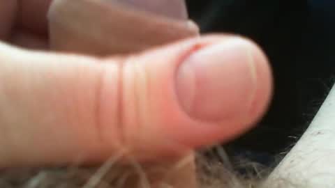 bullemoe online show from April 22, 12:21 pm