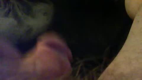 bullemoe online show from December 14, 2:29 am