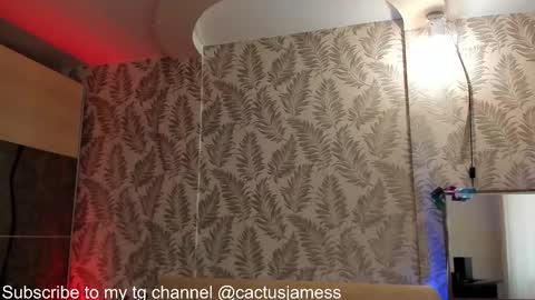Snapshot of cactusjames_69 chatting on October 7, 10:08 am James online show from October 7, 10:08 am