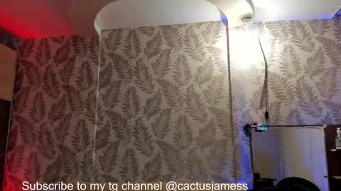 Snapshot of cactusjames_69 chatting on October 13, 12:33 pm James online show from October 13, 12:33 pm