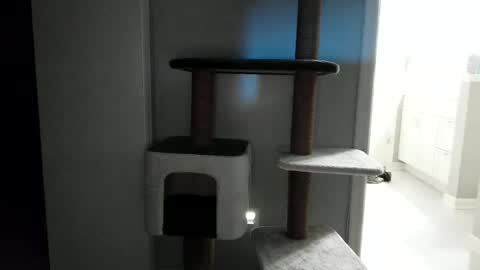 cammyman6900 online show from April 30, 3:57 am