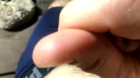 captainbalboa online show from April 22, 8:52 am