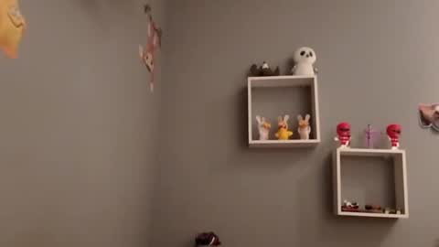 carlitito1 online show from November 19, 7:52 am