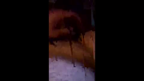 carlooos1213 online show from April 23, 9:50 pm