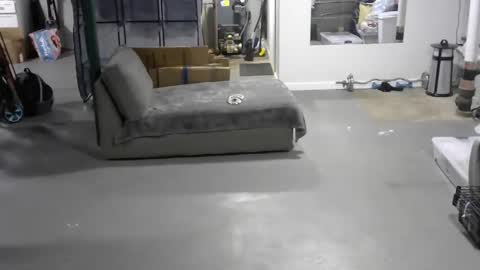 Carl online show from June 4, 5:19 pm