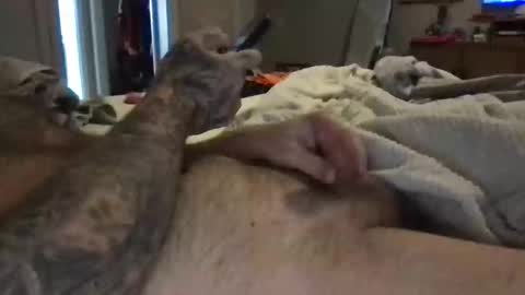 Caughtjacking6996 online show from December 17, 4:13 pm