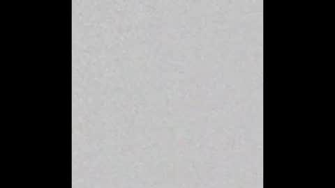 Lydong online show from November 12, 4:29 am