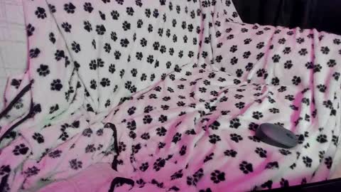 chaminelan online show from February 25, 2:33 pm