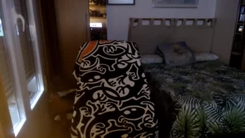 chicocam1983 online show from February 22, 4:59 pm