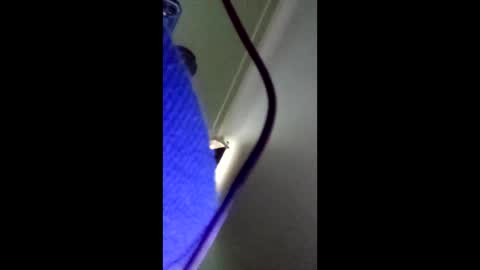 chocffkeeper online show from February 22, 12:51 pm