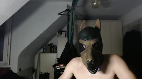 chrisdan_ online show from November 1, 9:30 pm