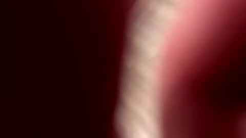 Cjd32 online show from September 15, 3:30 am