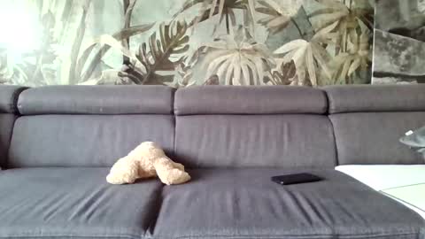 cock4onenight online show from March 10, 8:31 am