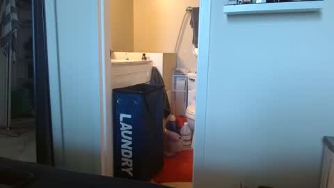 Snapshot of colbymoney chatting on March 9, 6:11 pm Colby big dick money online show from March 9, 6:11 pm