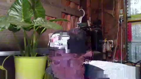 comeongirlts online show from February 18, 6:37 am