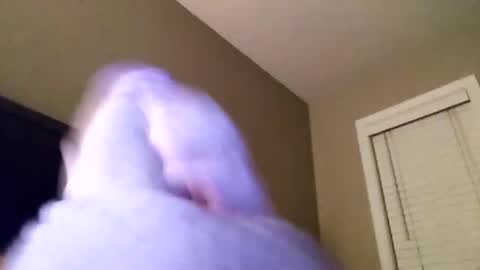 Snapshot of cranada777 chatting on January 16, 1:14 pm Cranada777 online show from January 16, 1:14 pm