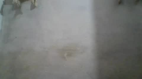 crazzy_booy online show from June 11, 4:32 am