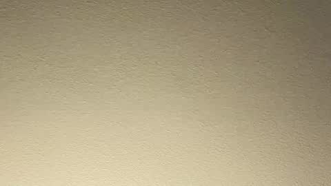 ctboriqua online show from November 17, 7:11 am