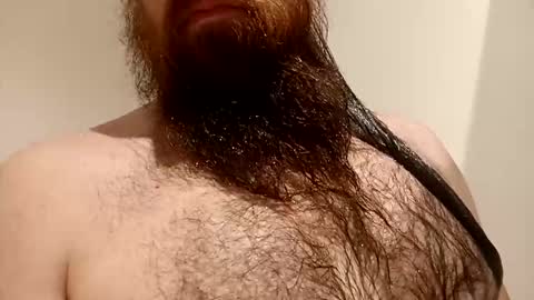 D online show from November 20, 9:30 am