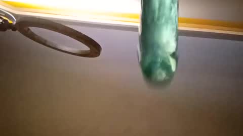 daileyrobert15 online show from April 27, 3:58 am