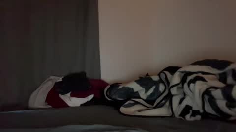 Snapshot of damiam_xj chatting on December 16, 2:49 pm damiam xj online show from December 16, 2:49 pm