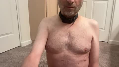 slave being trained online show from June 12, 3:10 pm