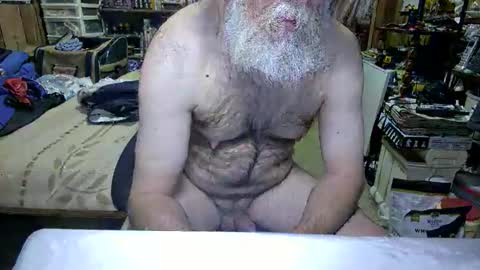 Dana online show from April 17, 2:42 pm