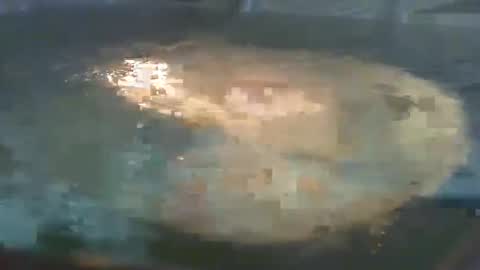 dankz4two0 online show from December 22, 1:11 pm