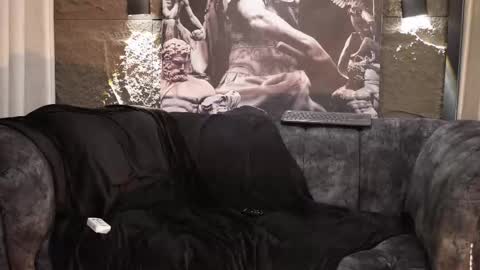 Dann saenz online show from November 27, 10:24 pm