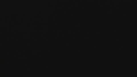 dantee_1_ online show from November 16, 8:05 am