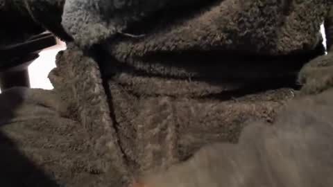 davdao3 online show from January 19, 10:17 am