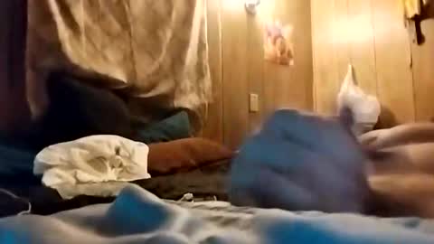 Alexander online show from December 7, 8:55 am