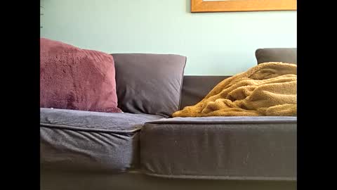 definitelymasterbating online show from October 25, 4:20 pm